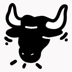 Icon preview