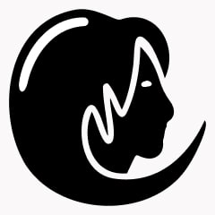 Icon preview