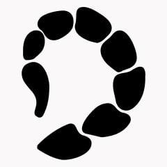 Icon preview