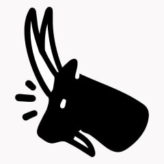 Icon preview