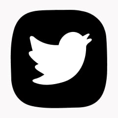 Icon preview