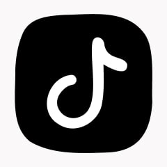 Icon preview