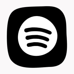 Icon preview