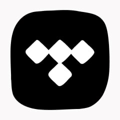 Icon preview