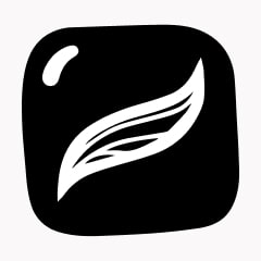 Icon preview